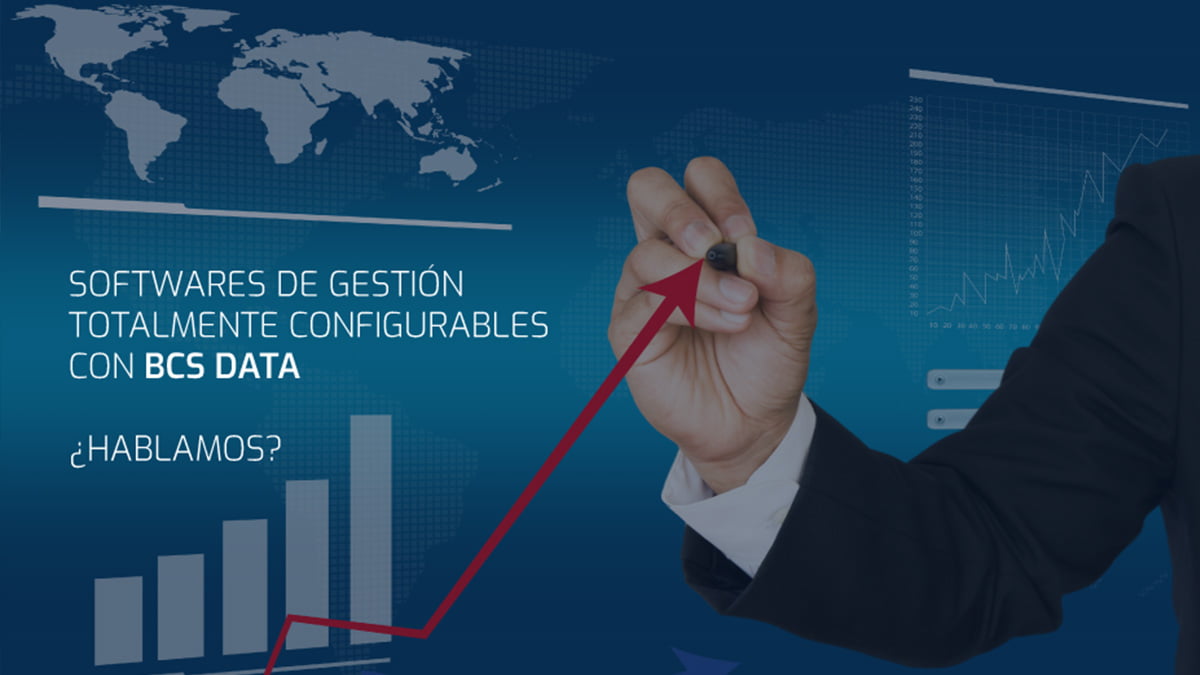 programa de gestion
